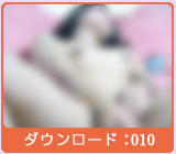 アーカイブス:010